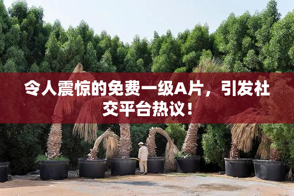 令人震惊的免费一级A片，引发社交平台热议！