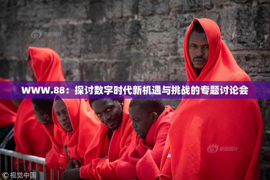 WWW.88：探讨数字时代新机遇与挑战的专题讨论会