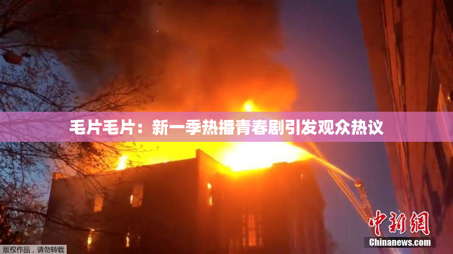 毛片毛片：新一季热播青春剧引发观众热议