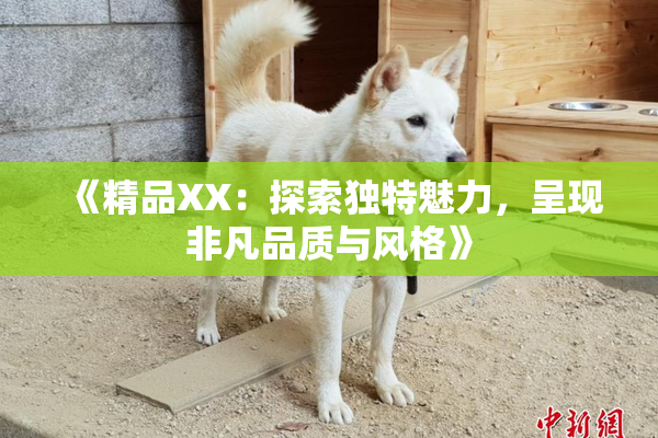 《精品XX：探索独特魅力，呈现非凡品质与风格》