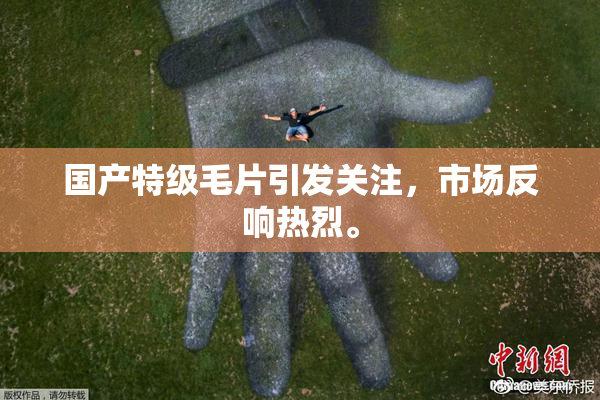 国产特级毛片引发关注，市场反响热烈。