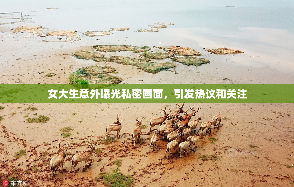 女大生意外曝光私密画面，引发热议和关注