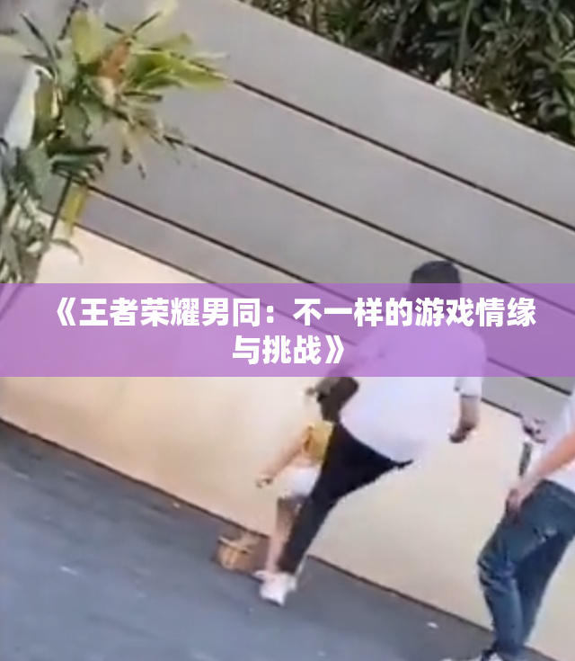 《王者荣耀男同：不一样的游戏情缘与挑战》