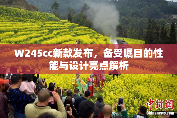 W245cc新款发布，备受瞩目的性能与设计亮点解析