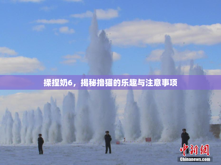 揉捏奶6，揭秘撸猫的乐趣与注意事项