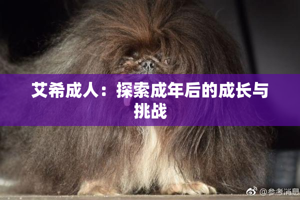 艾希成人：探索成年后的成长与挑战