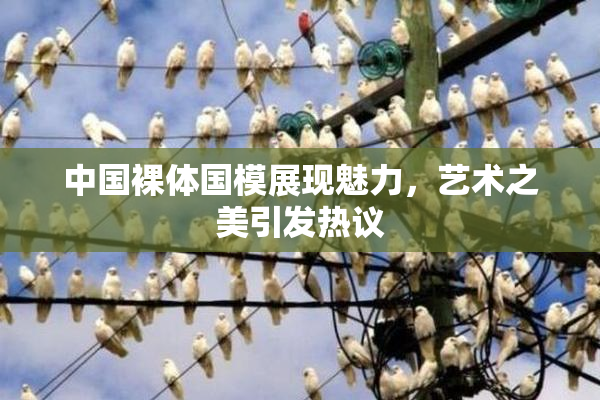 中国裸体国模展现魅力，艺术之美引发热议