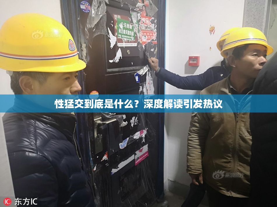 性猛交到底是什么？深度解读引发热议