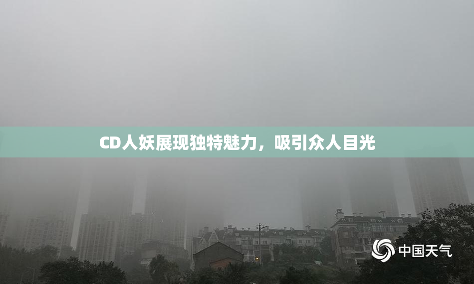 CD人妖展现独特魅力，吸引众人目光