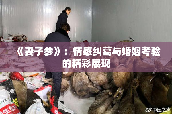 《妻子参》：情感纠葛与婚姻考验的精彩展现