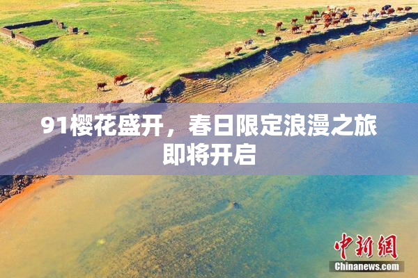 91樱花盛开，春日限定浪漫之旅即将开启