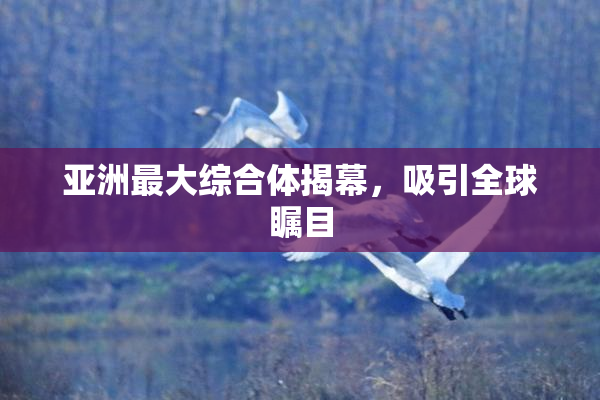 亚洲最大综合体揭幕，吸引全球瞩目