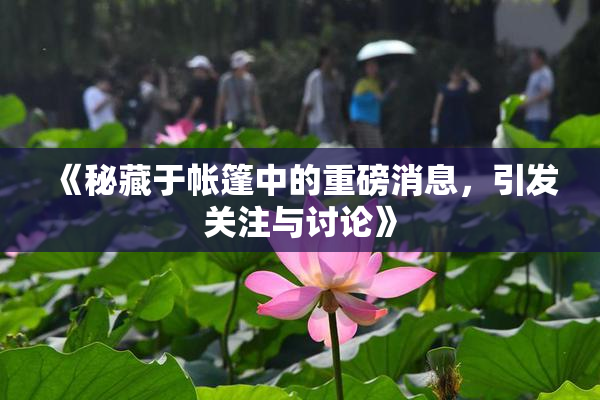 《秘藏于帐篷中的重磅消息，引发关注与讨论》
