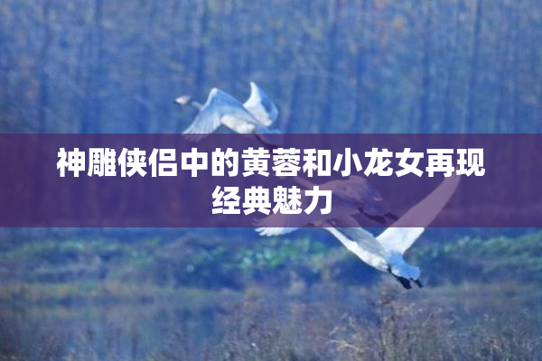 神雕侠侣中的黄蓉和小龙女再现经典魅力