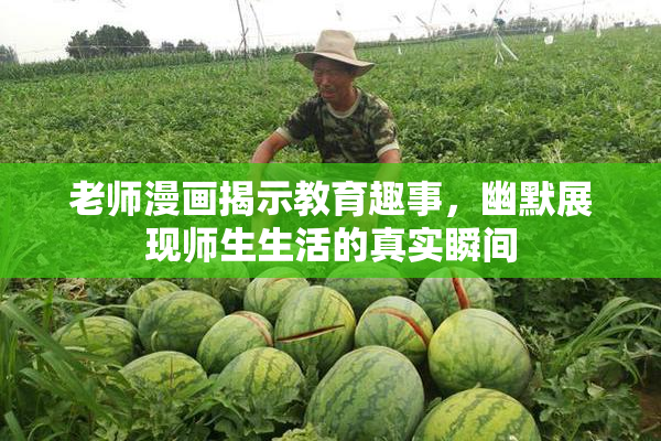 老师漫画揭示教育趣事，幽默展现师生生活的真实瞬间