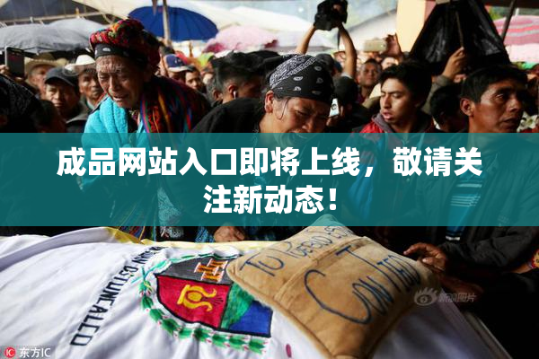 成品网站入口即将上线，敬请关注新动态！