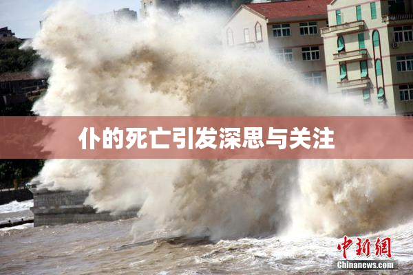 仆的死亡引发深思与关注