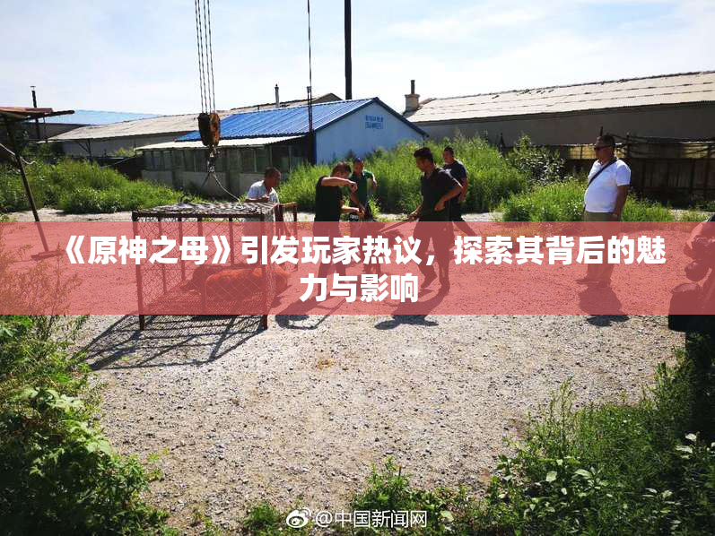 《原神之母》引发玩家热议，探索其背后的魅力与影响