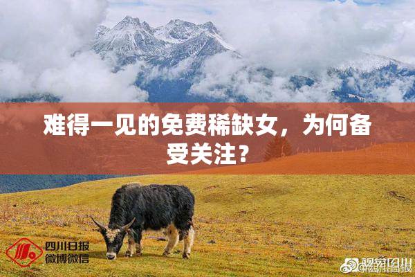 难得一见的免费稀缺女，为何备受关注？