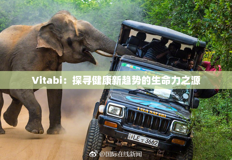 Vitabi：探寻健康新趋势的生命力之源