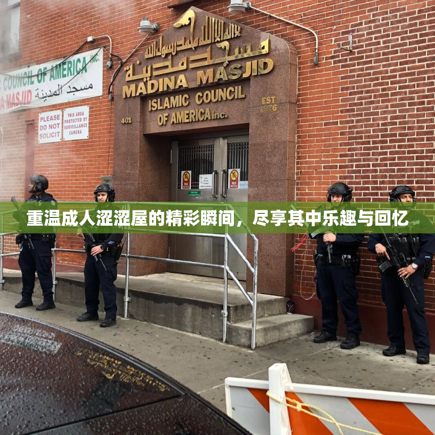 重温成人涩涩屋的精彩瞬间，尽享其中乐趣与回忆