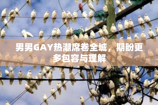 男男GAY热潮席卷全城，期盼更多包容与理解