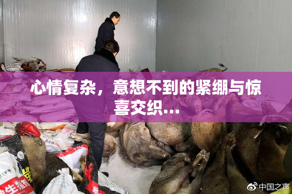 心情复杂，意想不到的紧绷与惊喜交织…