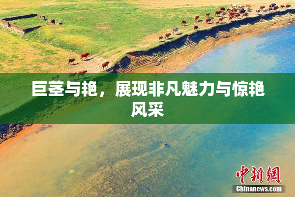 巨茎与艳，展现非凡魅力与惊艳风采
