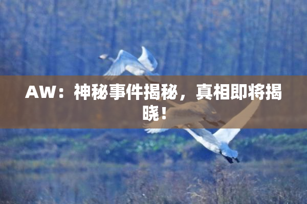 AW：神秘事件揭秘，真相即将揭晓！