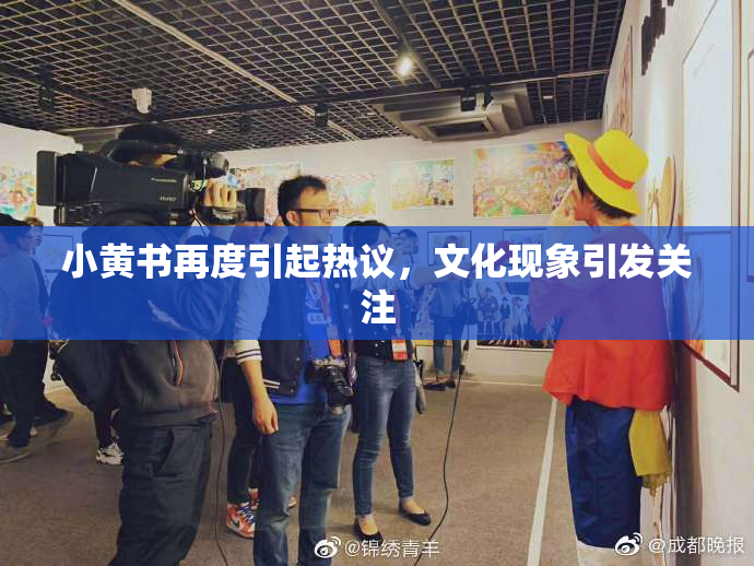 小黄书再度引起热议，文化现象引发关注