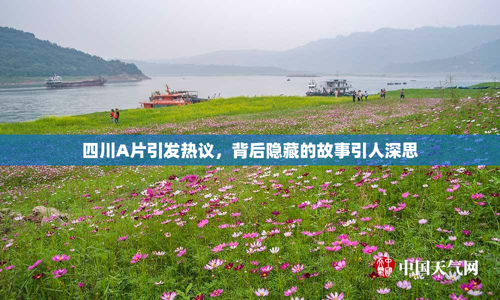 四川A片引发热议，背后隐藏的故事引人深思
