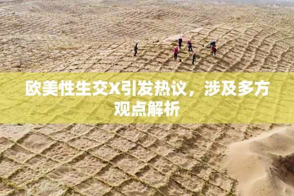 欧美性生交X引发热议，涉及多方观点解析