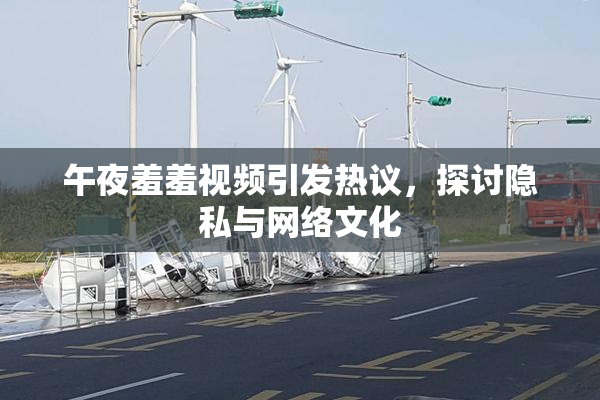 午夜羞羞视频引发热议，探讨隐私与网络文化