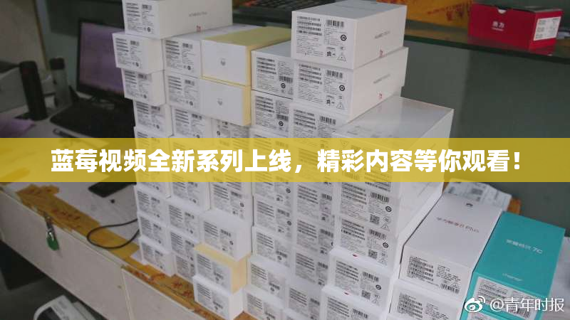 蓝莓视频全新系列上线，精彩内容等你观看！