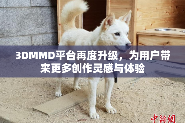 3DMMD平台再度升级，为用户带来更多创作灵感与体验