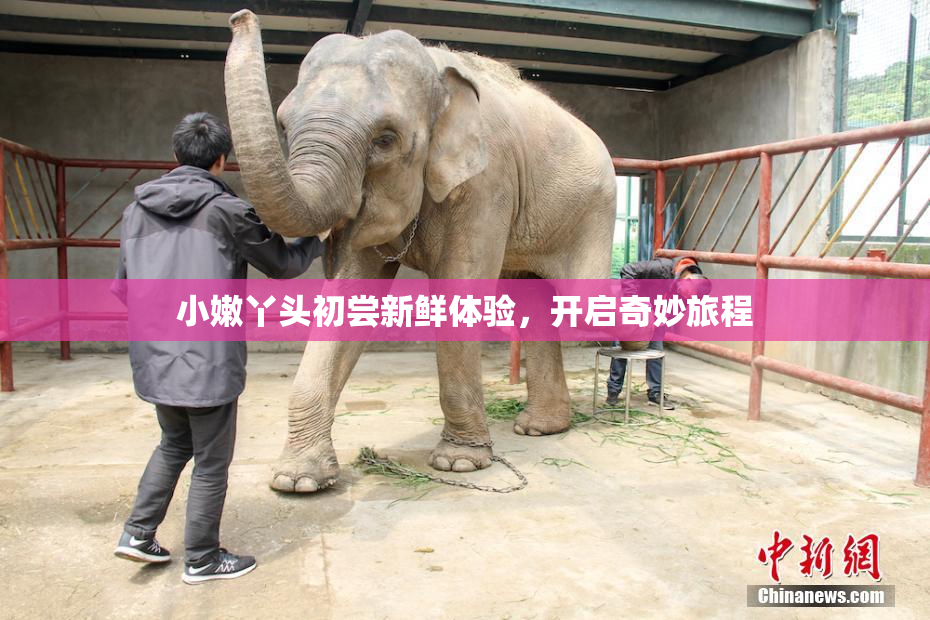 小嫩丫头初尝新鲜体验，开启奇妙旅程