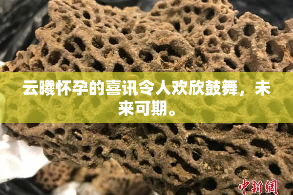 云曦怀孕的喜讯令人欢欣鼓舞，未来可期。