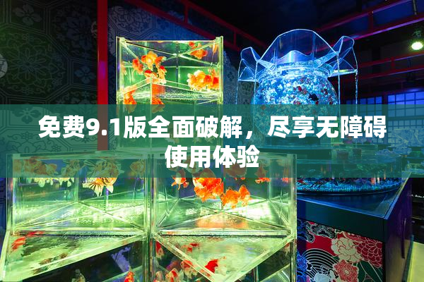 免费9.1版全面破解，尽享无障碍使用体验