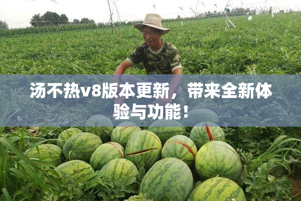 汤不热v8版本更新，带来全新体验与功能！