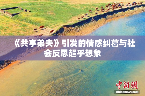 《共享弟夫》引发的情感纠葛与社会反思超乎想象
