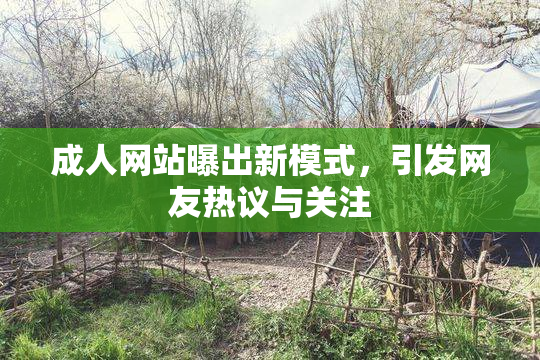成人网站曝出新模式，引发网友热议与关注