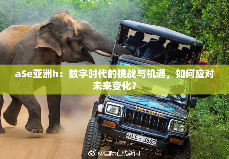 aSe亚洲h：数字时代的挑战与机遇，如何应对未来变化？