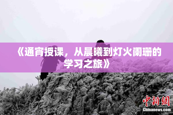 《通宵授课，从晨曦到灯火阑珊的学习之旅》