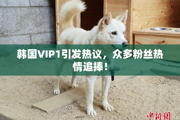 韩国VIP1引发热议，众多粉丝热情追捧！
