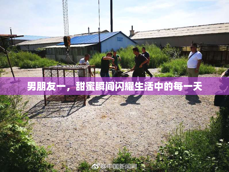 男朋友一，甜蜜瞬间闪耀生活中的每一天