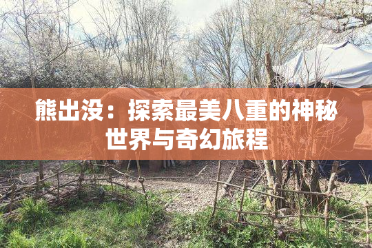 熊出没：探索最美八重的神秘世界与奇幻旅程