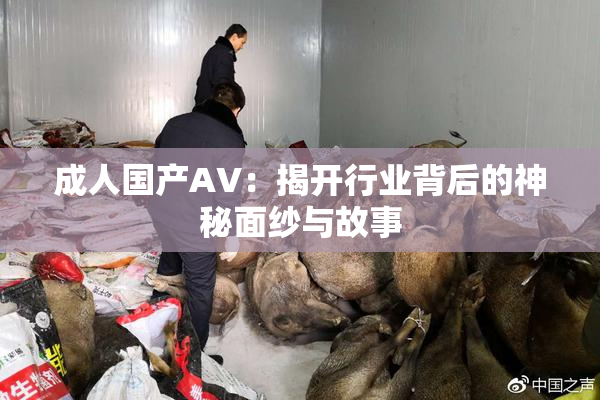 成人国产AV：揭开行业背后的神秘面纱与故事