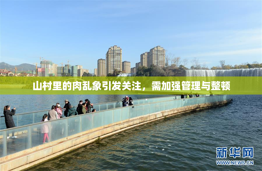 山村里的肉乱象引发关注，需加强管理与整顿