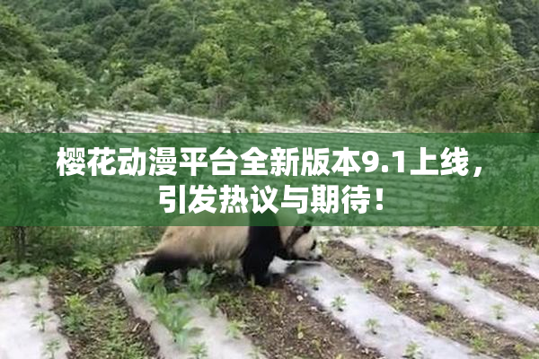 樱花动漫平台全新版本9.1上线，引发热议与期待！