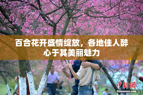百合花开盛情绽放，各地佳人醉心于其美丽魅力